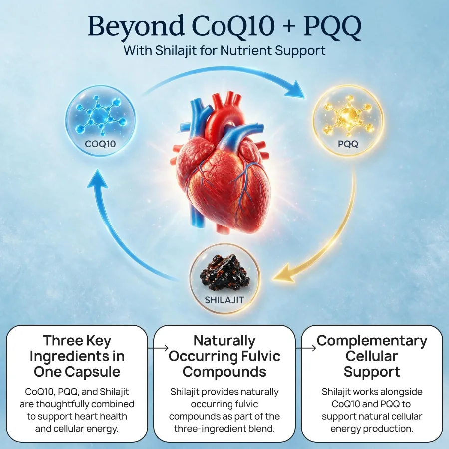 How CardioClear7 works: CoQ10 and PQQ with shilajit for nutrient support