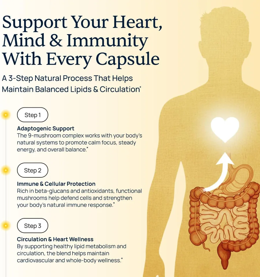 How Cholibrium works: adaptogenic support, immune and cellular protection, and circulation and heart wellness